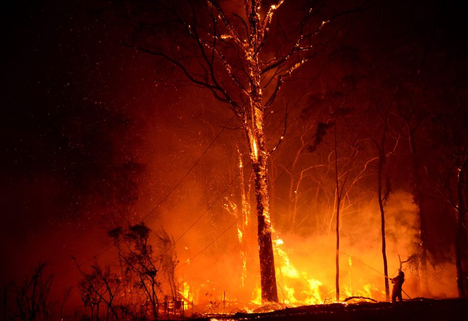 Black Summer bushfires010