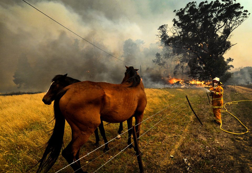 Black Summer bushfires013