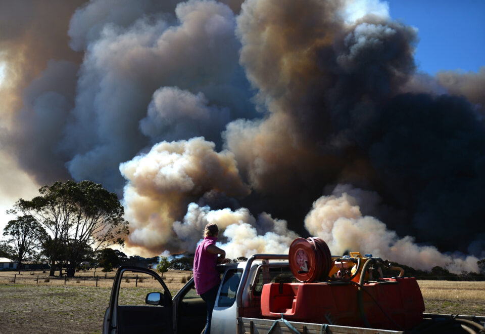 PIPER-BlackSummer-1-23